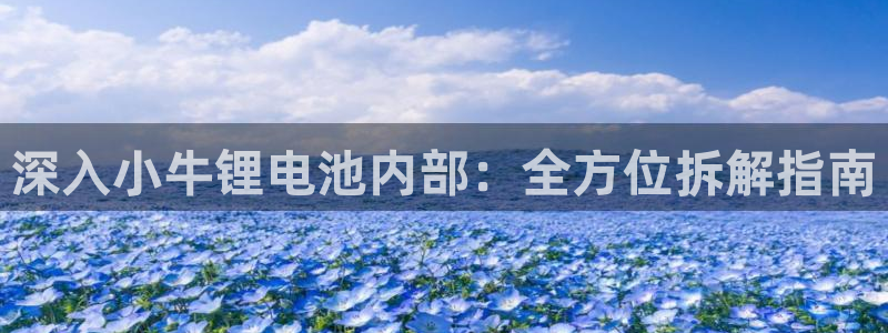 尊龙官网