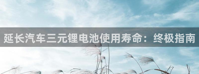 尊龙凯时集团