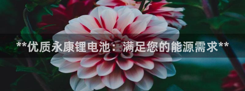 尊龙Ag