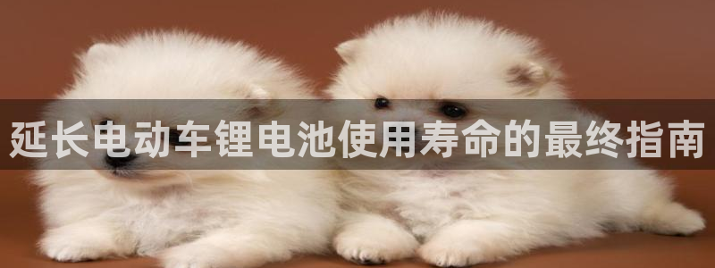 尊龙实业有限公司属于国企吗