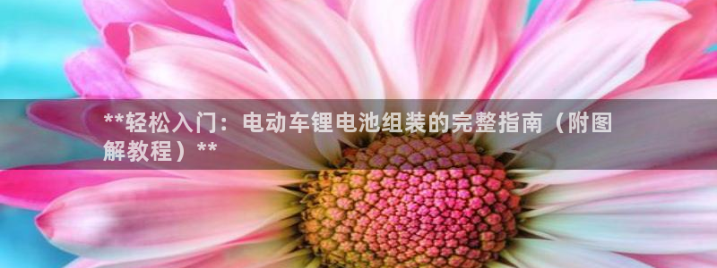 尊龙中国