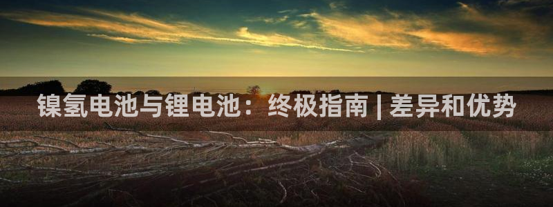 尊龙现金