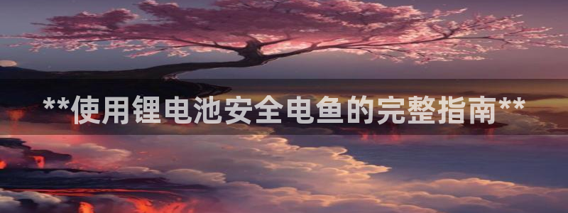尊龙凯时电竞