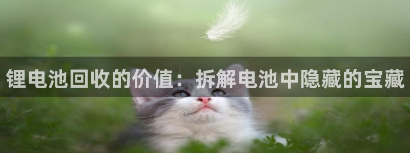 尊龙凯时平台还是万搏好