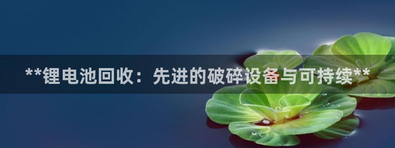 尊龙凯时人生就是搏客户