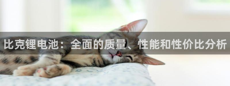 尊龙集团有限公司