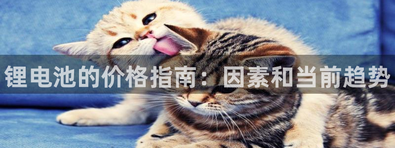 尊龙凯时人生就是搏官方网站