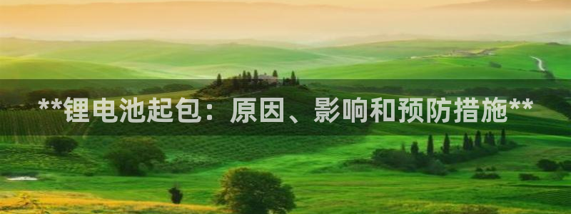 尊龙凯时有限公司