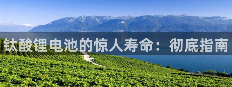 尊龙这个平台怎么样