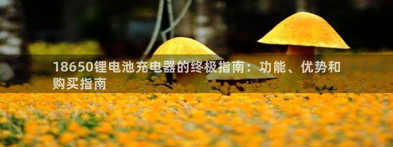 尊龙凯时ag旗舰厅登陆