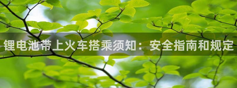 凯时游戏官方网站