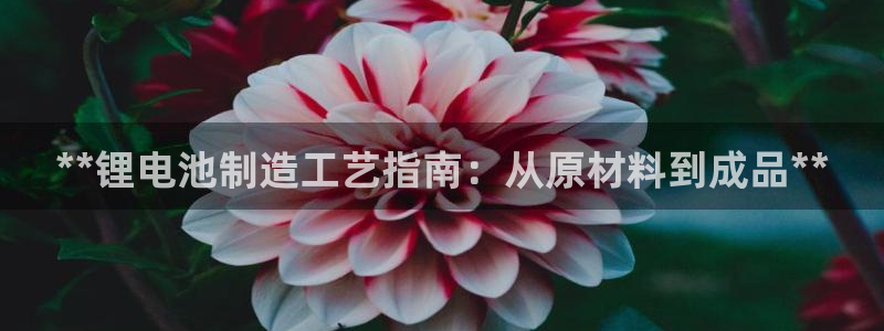 尊龙官网入口