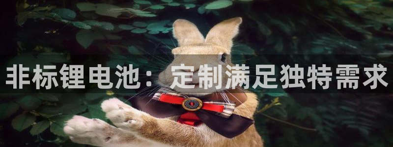 尊龙ag旗舰厅下载