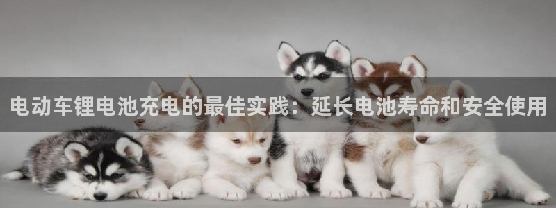 尊龙凯时ag旗舰