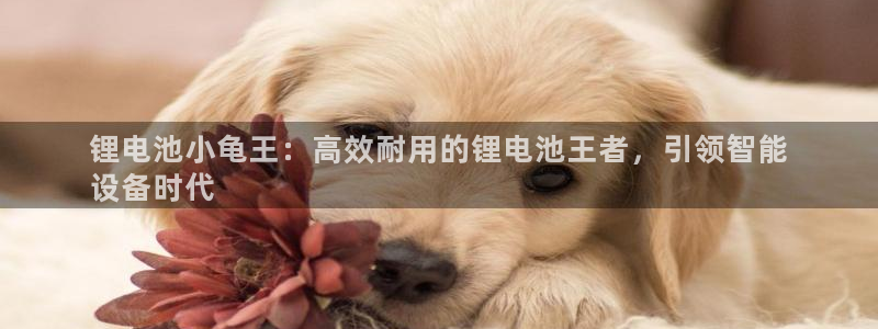凯时网上官方网站