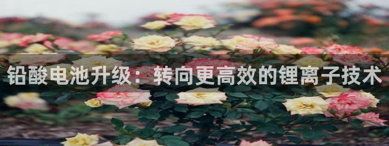 旧版尊龙人生就是博下载