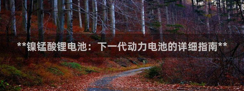 ag旗舰平台尊龙代言