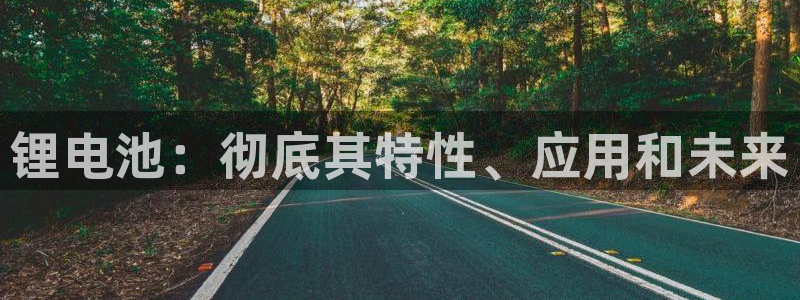 尊龙凯时 人生就是搏!