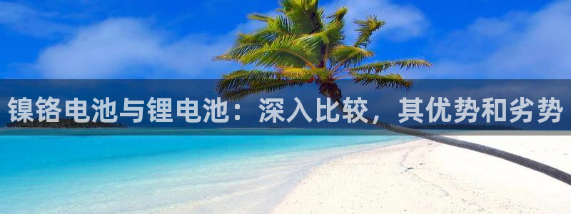 尊龙凯时存款多久到账