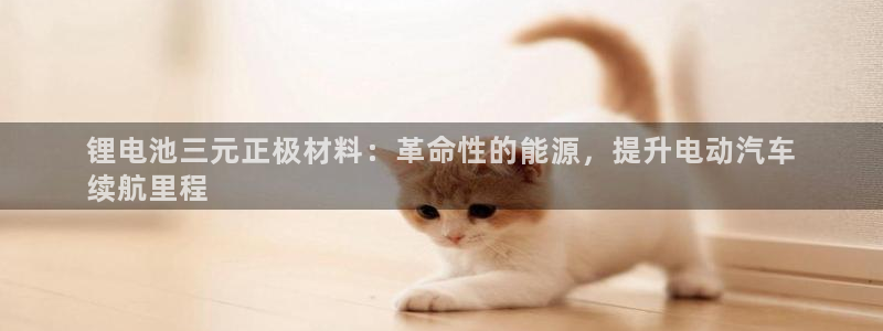 尊龙长相评价