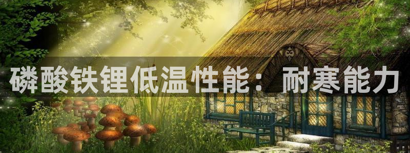 尊龙网站 人生就是博