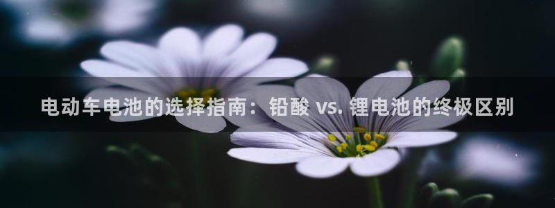 尊龙新版App下载