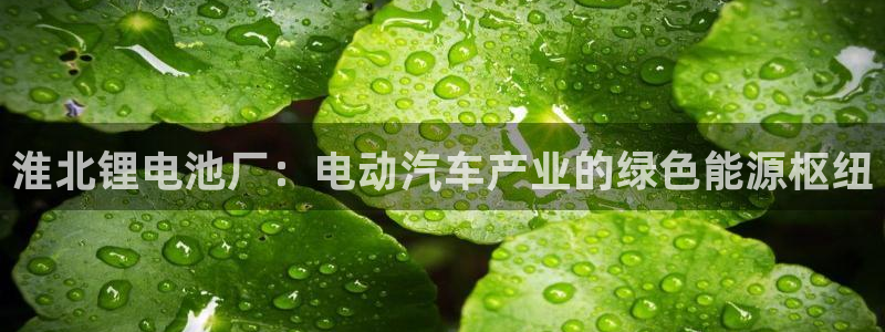 尊龙凯时官网网址