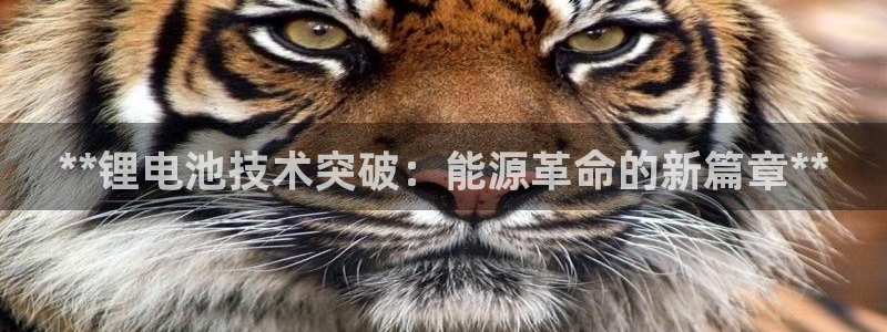 尊龙专访视频
