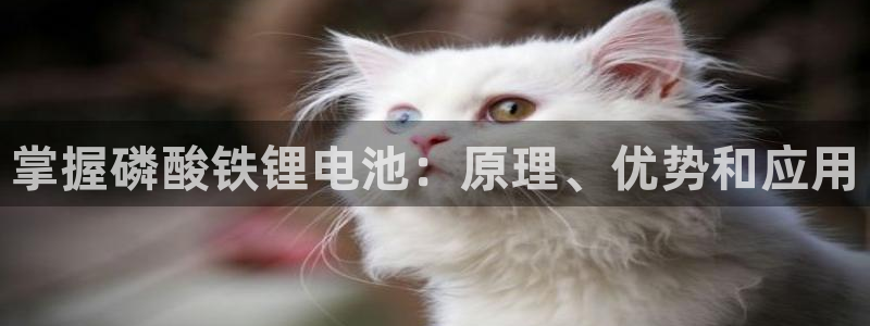 尊龙人生就是博官方官网
