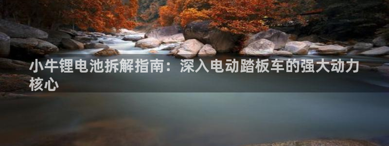 尊龙z6官网