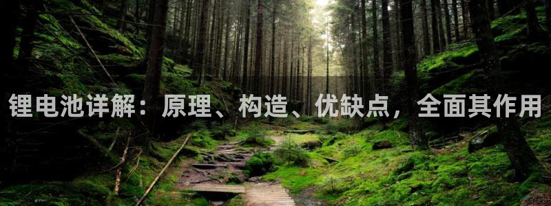 尊龙凯时人生就是搏·(中国)官网