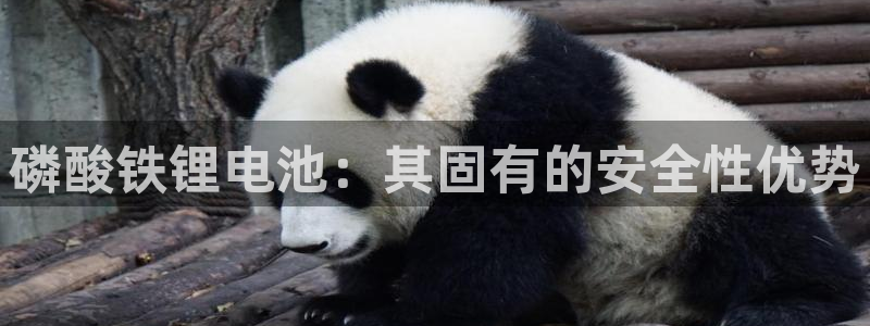 尊龙凯时几百万怎么下款