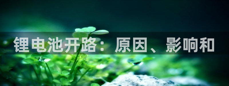 尊龙凯时app安装