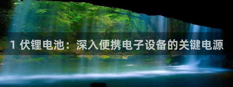 尊龙凯时 人生就是搏!