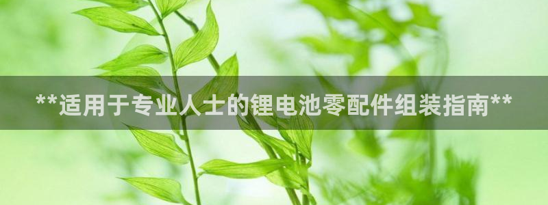 尊龙人生就是博旧