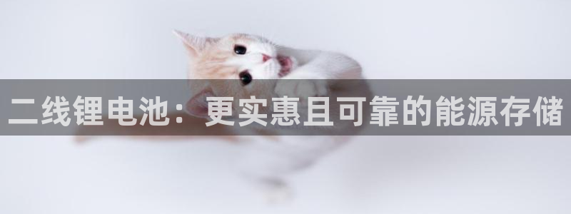z6com尊龙凯时百家乐下载