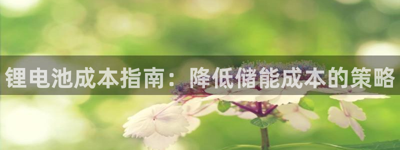 尊龙集团