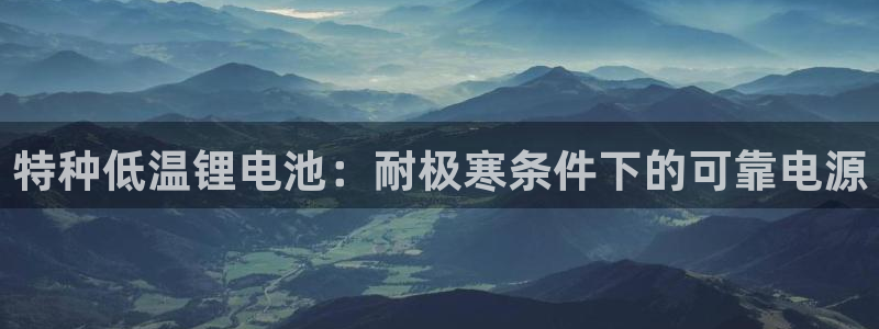 尊龙凯时代理官网入口
