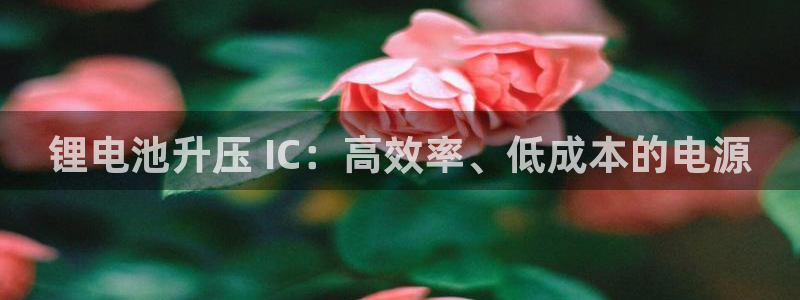 尊龙凯时邀请码