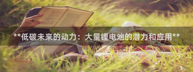 尊龙实业 吴友良