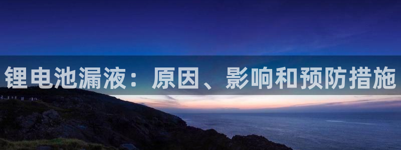 z6com尊龙凯时代理