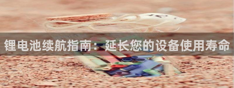 z6com尊龙凯时代理