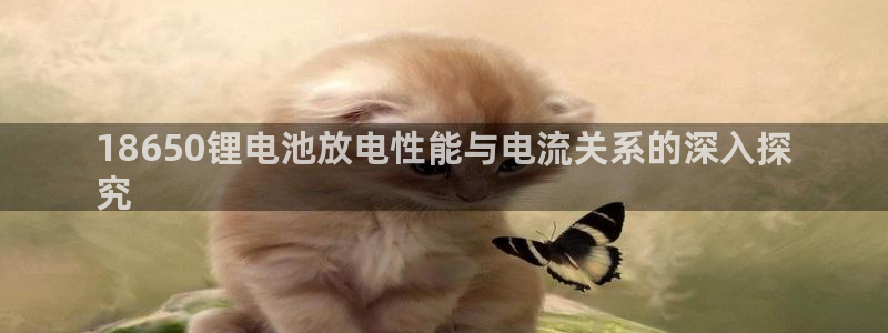 凯时k8官网首页