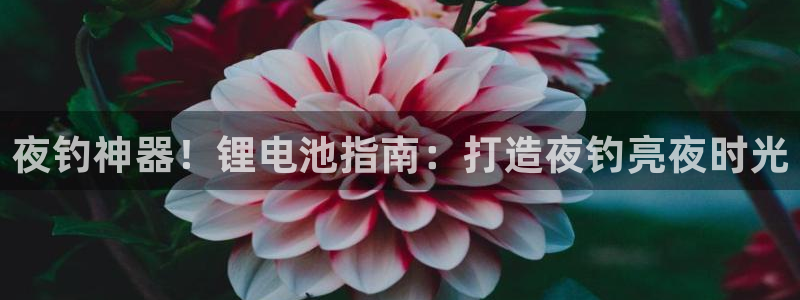 尊龙凯时链接