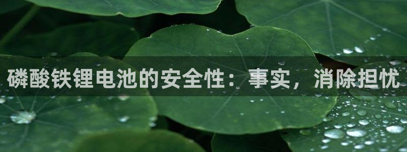 尊龙凯时是正规平台吗