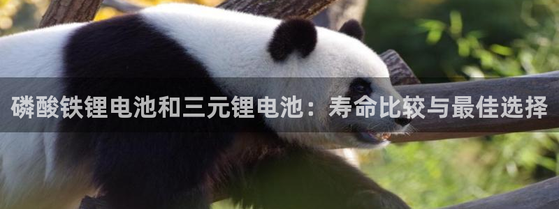 尊龙科技