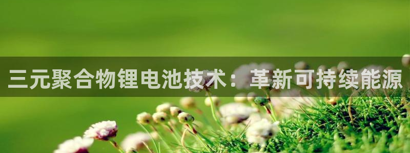 尊龙凯时登入首页