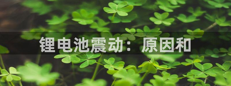 尊龙会