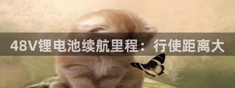 尊龙凯时是赌博嘛