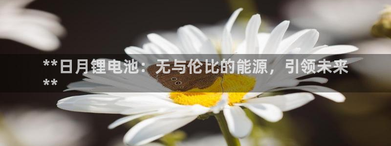 凯时K8国际